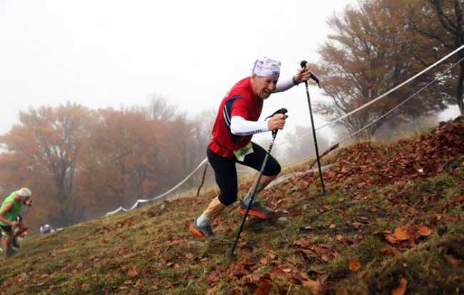 464085272 10230678628662910 3805270320444100380 n