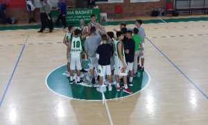 arona basket