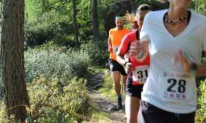 cheggio andolla gara podistica 768x576