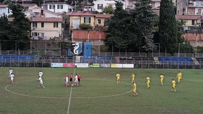 imperia novaromentin foto