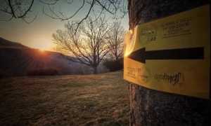 ossola trail mergozzo