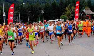 sgamelaa 16 vigezzo partenza 2017