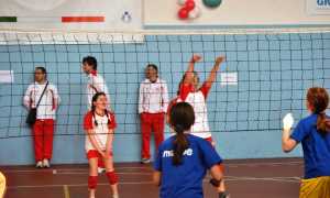 sprint volley