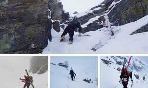 tour monscera 18 mix