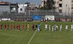 valenzana novaromentin