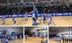 vinavil varese mix 19