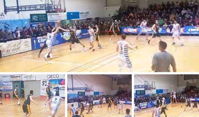 vinavil crocetta basket cipir mix