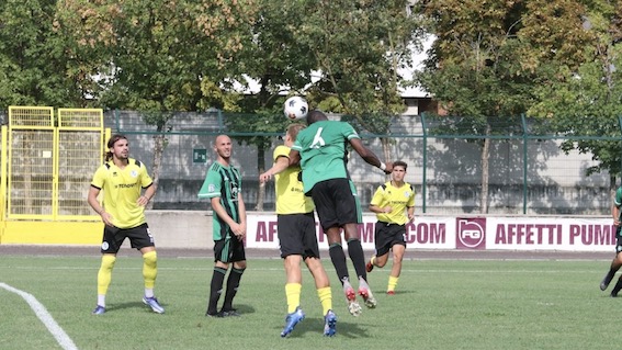 stresa castellanzese